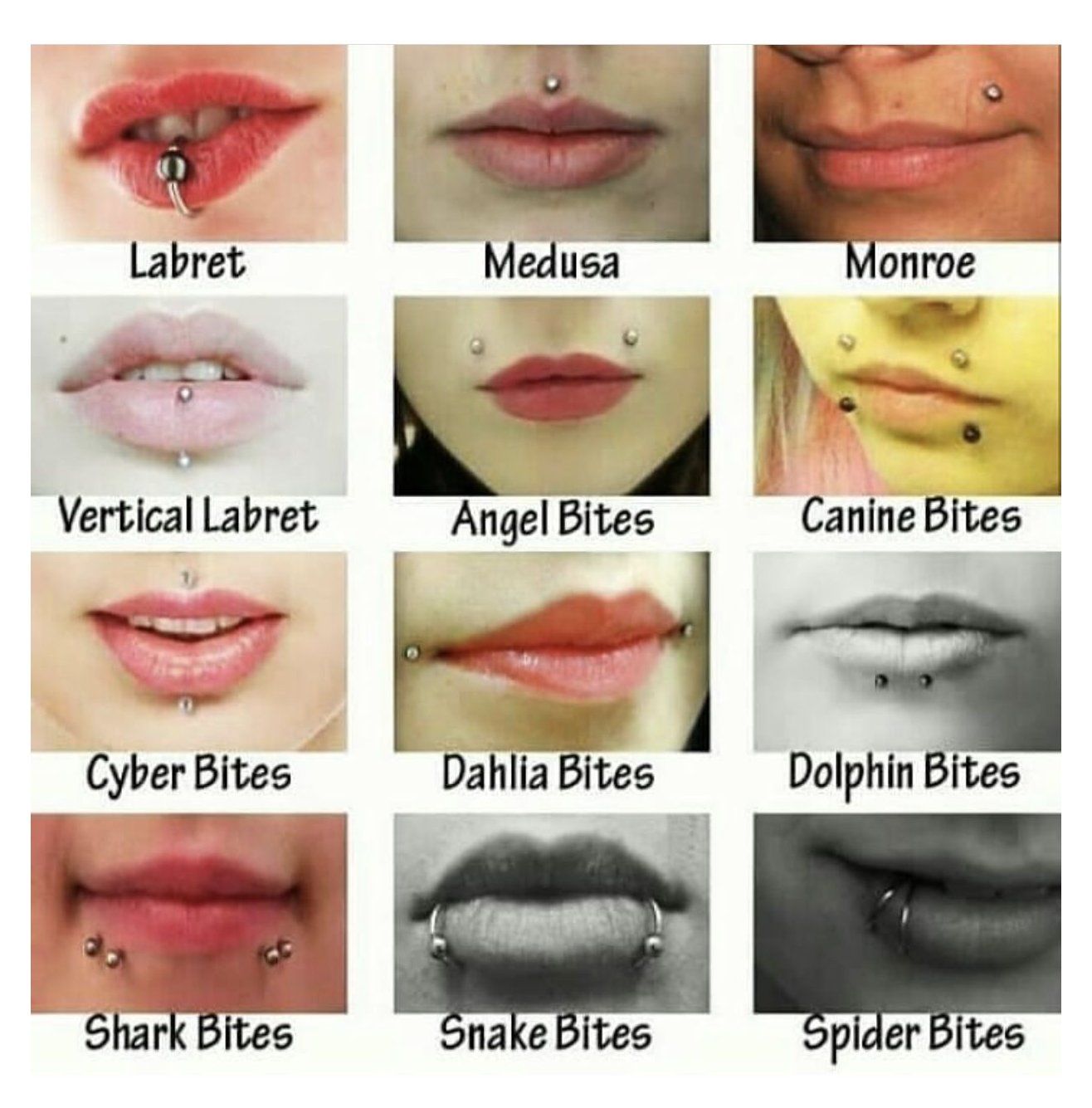 14 Piercing Charts You Wish You Knew About Sooner Piercing Chart