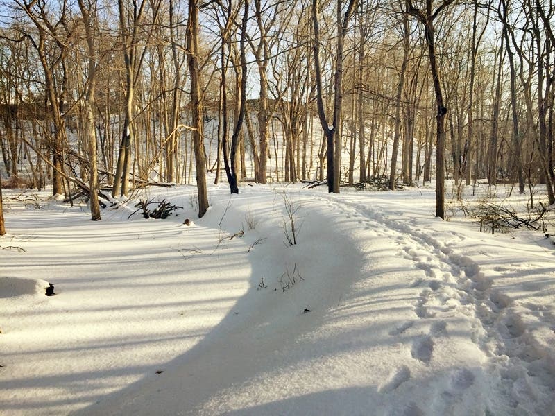 2 Feet Of Snow Now In Chatham Area Tuesday Storm Impacts Chatham Nj