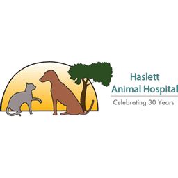 5 Ultimate Steps To Find Haslett Animal Hospital Today