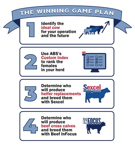 A Winning Game Plan With Sexcel And Beef Infocus Abs Global Us