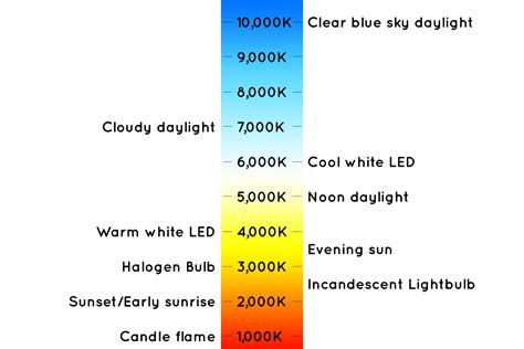 About Lighting Does The Warmth Rating Of A Lightbulb Correlate To The