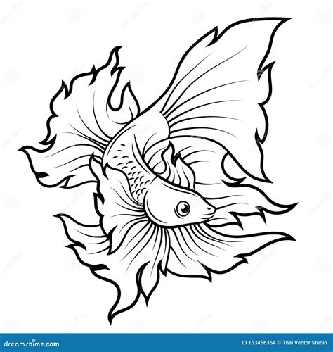 Betta Fish Or Siamese Fighter Fish Line Art Tattoo Design Fish