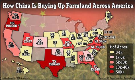 China And Us Farms: A Comprehensive Comparison Guide