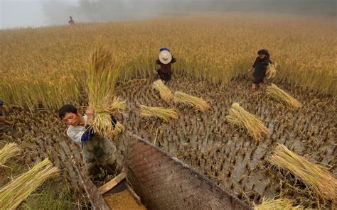 Chinese Farmers Have Been Capturing A Potent Greenhouse Gas For Decades