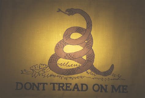 Don Amp 39 T Tread On Me Flag Find Out The History And Meaning