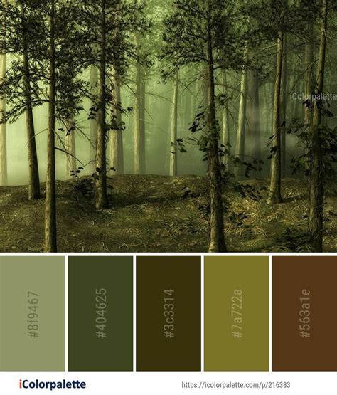 Earthy Forest Color Palette