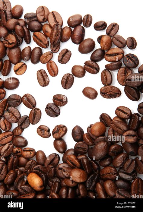 Full Cup Of Coffee Grinder And Pot On Beans Isolated On White Stock