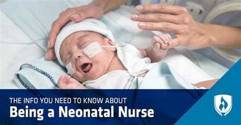 How To Become A Nicu Nurse Neonatal Nurse Practitioner Nicu Nurse