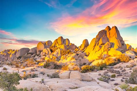 Joshua Tree National Park Vast Desert Terrain And Stargazing Spot In