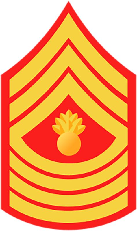 Master Gunnery Sergeant Rank