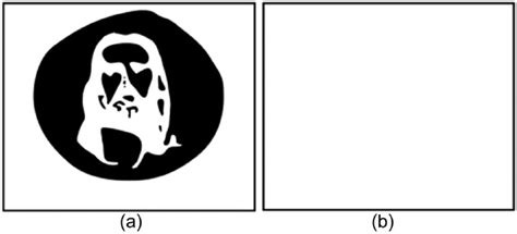 Negative Afterimages Are Explained By