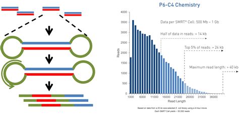 Next Generation Sequencing In Aquatic Models Intechopen