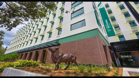 Osprey Suites At Usf St Petersburg Campus Youtube