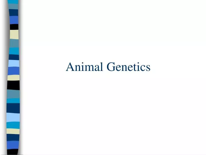 Ppt Animal Genetics Heredity Test Review Powerpoint Presentation