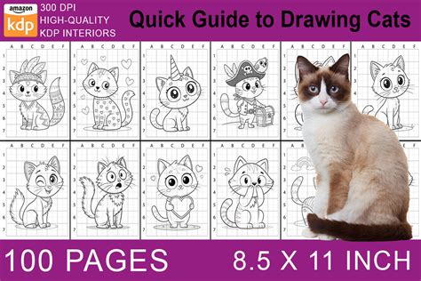 Quick Guide To Drawing Cats Graphic By Breakingdots Creative Fabrica