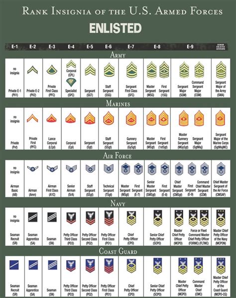 Ranks Of The Us Army