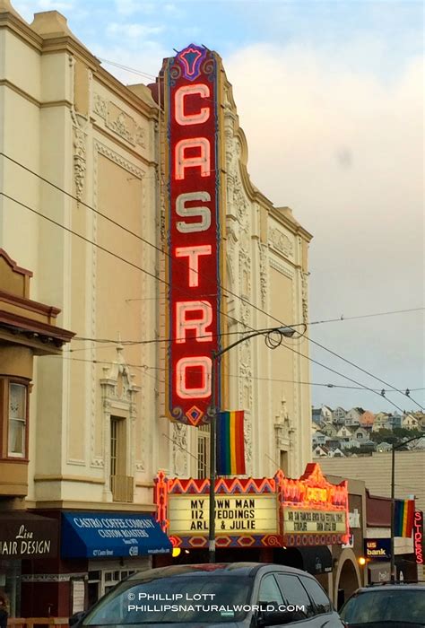 The Castro San Francisco - Amaral Northwestern