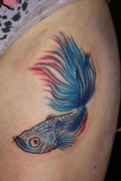 Siamese Fighting Fish Done By Raychel Maughan Arthurts Newcastle Upon