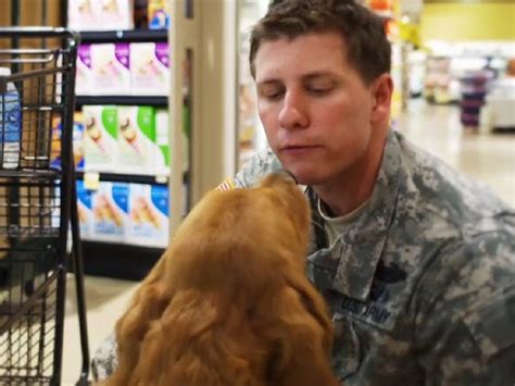 Sometimes The Only One Who Can Remind Troops How To Feel Is A Dog Business Insider