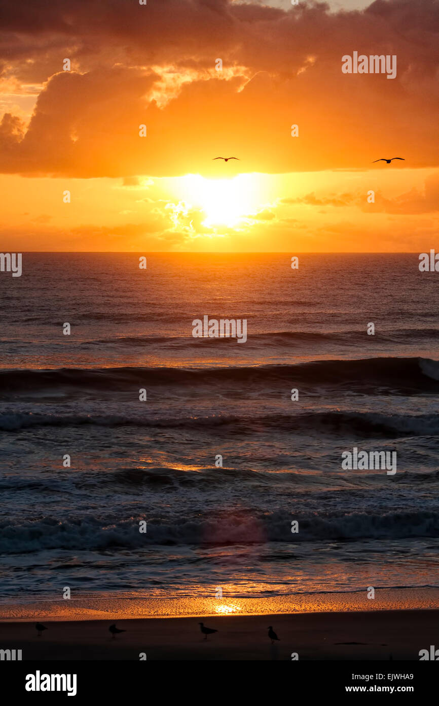 Sunrise In Indian Harbor Beach Florida