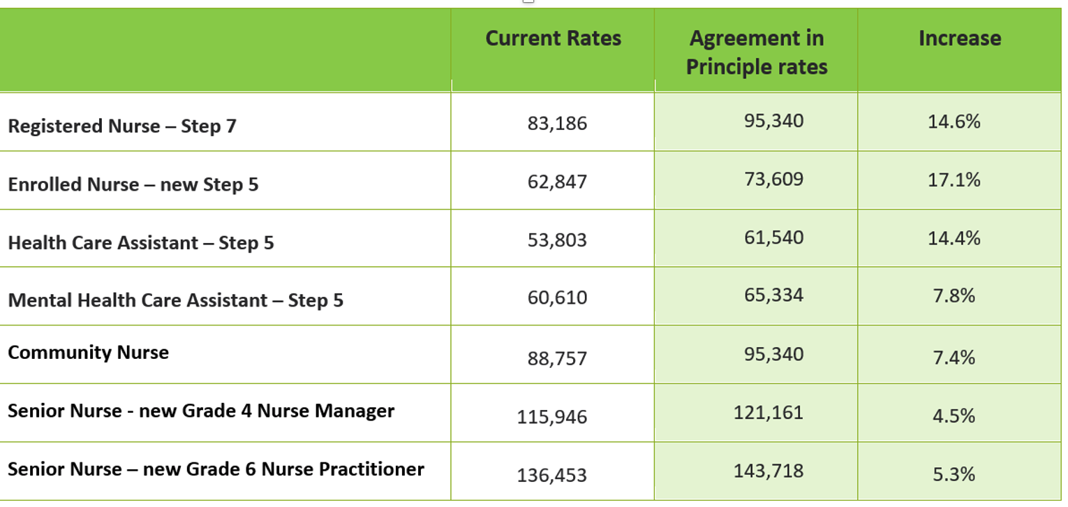 Te Whatu Ora Asks Era To Approve Interim Pay Equity Rates For Nurses New Zealand Doctor