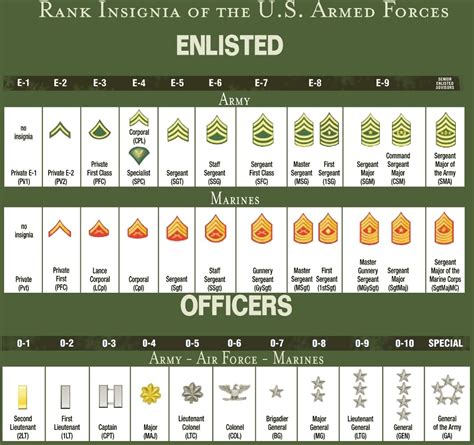 The Army The Army Ranks