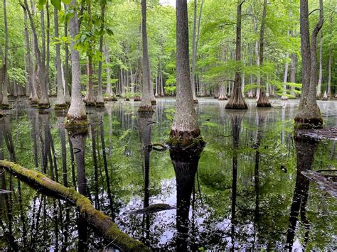 The Illinois Nature Preserves System Beyond The Borders