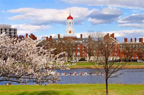 The Ultimate 5 Steps To Create A Sunny Day In Harvard Ma Today