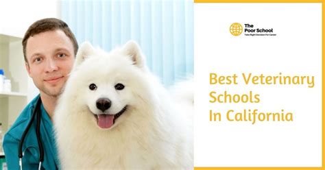 Vet Schools In California