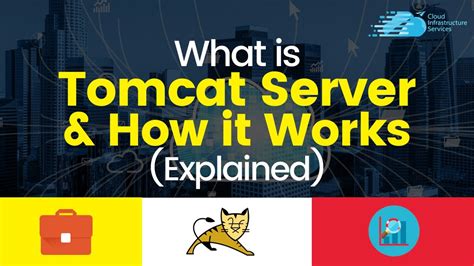 What Is The Tomcat