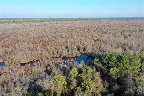 White Lake Bladen County Nc Recreational Property For Sale Property